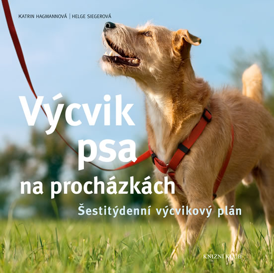 Výcvik psa na procházkách - Šestitýdenní tréninkový plán